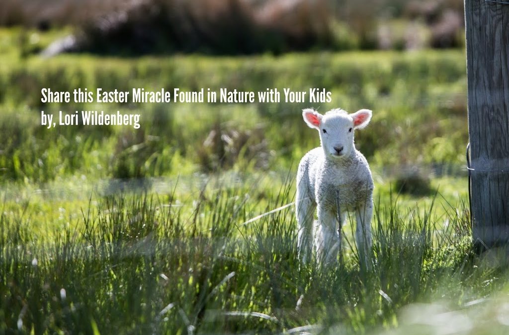Share this Easter Miracle Found in Nature with Your Kids