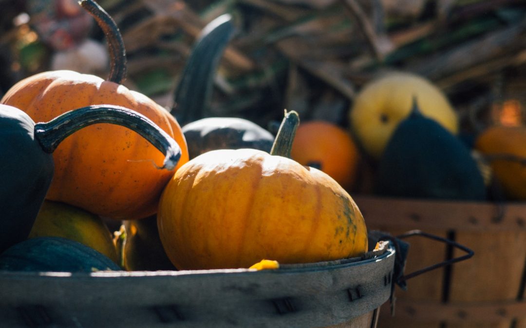10 Halloween Dos and Don’ts for Christian Families