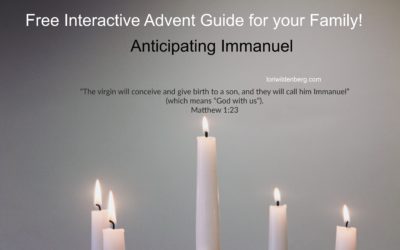 Free Interactive Advent Guide for Your Family!